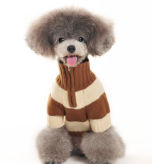 DOGO Sporty Stripe Sweater in Beige/Cream